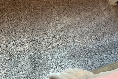 Carpet Cleaning landscape 3